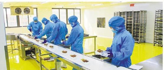李欽輝調研總部型企業疫情防控和復工復產情況，深入食品生產企業指導